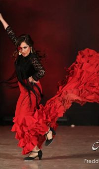 Clases de flamenco en Sevilla